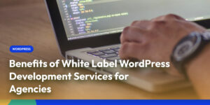 Benefits of White Label WordPress Development Services for Agencies